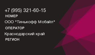 9953216015